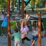 Miniaturka Pull up bars (17)