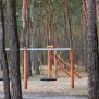 Miniaturka Swing (18)
